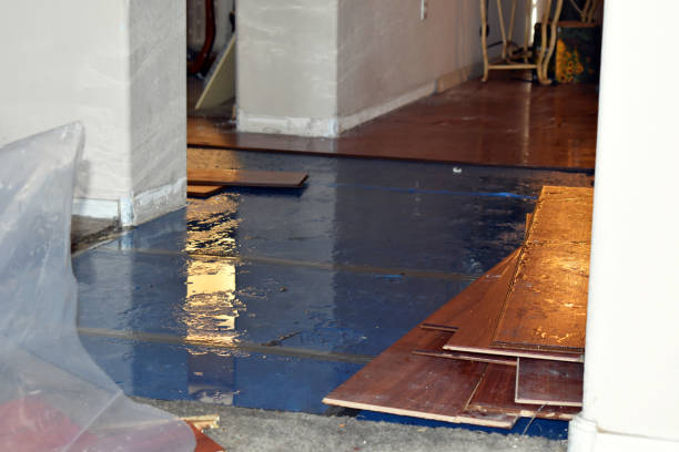 Professional Water Damage Restoration technician working in Nellis, WV
